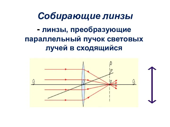 Собирающие линзы - линзы, преобразующие параллельный пучок световых лучей в сходящийся