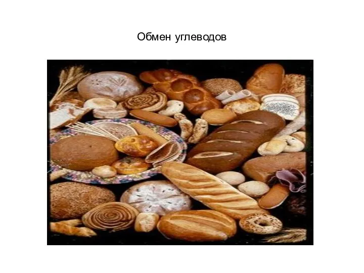 Обмен углеводов