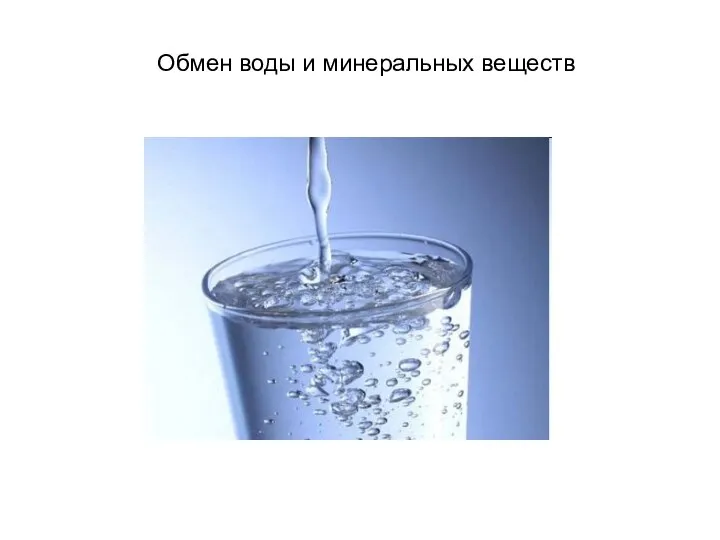 Обмен воды и минеральных веществ