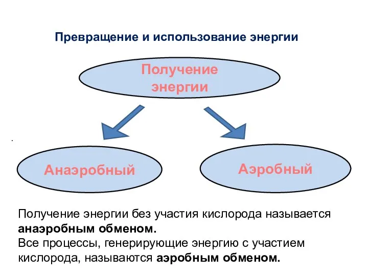 Превращение и использование энергии . Получение энергии без участия кислорода называется анаэробным