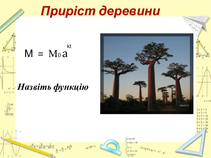 Приріст деревини М = М0 a Назвіть функцію kt