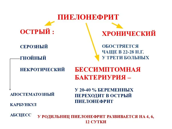 ПИЕЛОНЕФРИТ ОСТРЫЙ : СЕРОЗНЫЙ ГНОЙНЫЙ НЕКРОТИЧЕСКИЙ ХРОНИЧЕСКИЙ ОБОСТРЯЕТСЯ ЧАЩЕ В 22-28 Н.Г.