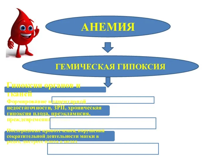 АНЕМИЯ ГЕМИЧЕСКАЯ ГИПОКСИЯ Гипоксия органов и тканей Формирование плацентарной недостаточности, ЗРП, хроническая