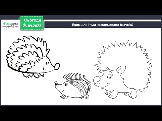 25.09.2022 Сьогодні Якими лініями намальовано їжачків?