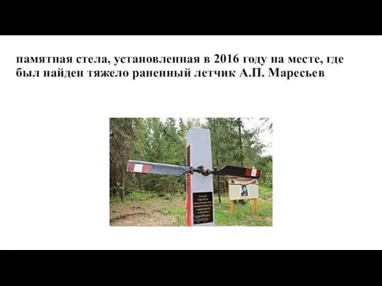 памятная стела, установленная в 2016 году на месте, где был найден тяжело раненный летчик А.П. Маресьев