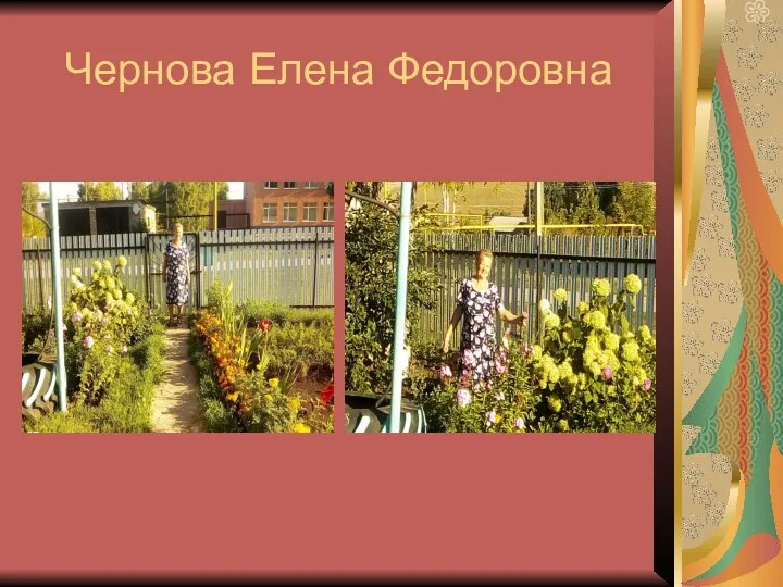 Чернова Елена Федоровна