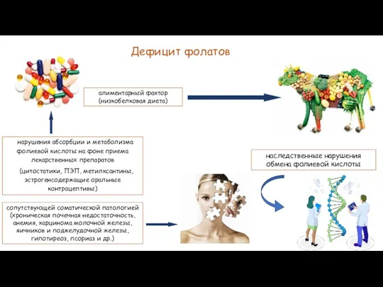 нарушения абсорбции и метаболизма фолиевой кислоты на фоне приема лекарственных препаратов (цитостатики,