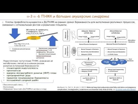 ⍵-3 ⍵ -6 ПНЖК и большие акушерские синдромы Недостаточное поступление ПНЖК, изменение