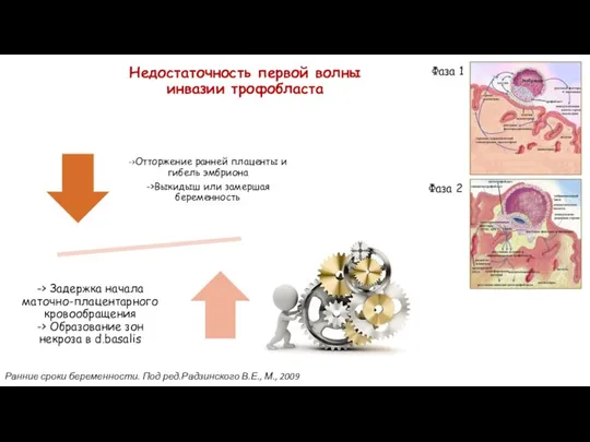 Недостаточность первой волны инвазии трофобласта Ранние сроки беременности. Под ред.Радзинского В.Е., М.,