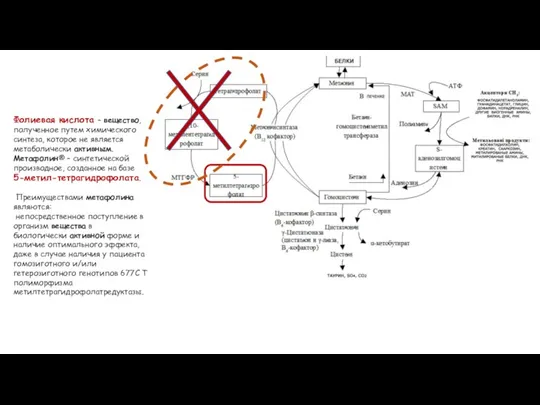 Фолиевая кислота – вещество, полученное путем химического синтеза, которое не является метаболически