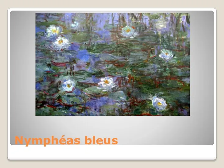 Nymphéas bleus