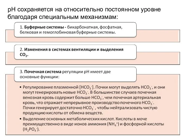 рН сохраняется на относительно постоянном уровне благодаря специальным механизмам: