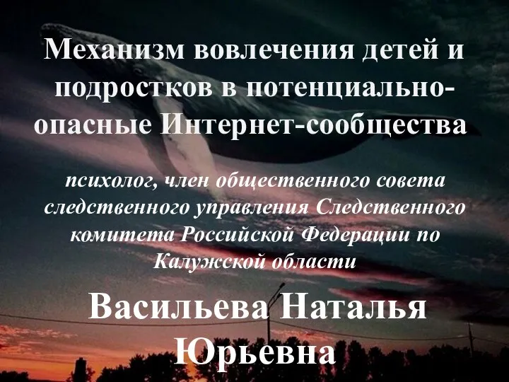 Механизм вовлечения детей и подростков в потенциально-опасные Интернет-сообщества. психолог, член общественного совета