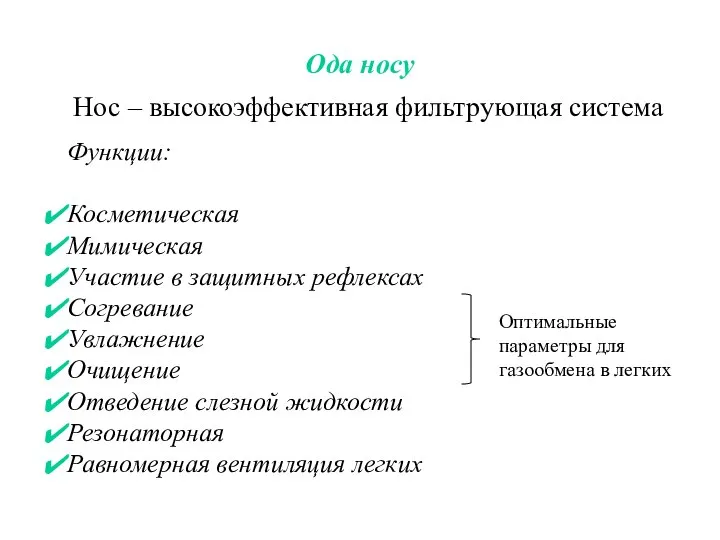 Ода носу Функции: Косметическая Мимическая Участие в защитных рефлексах Согревание Увлажнение Очищение