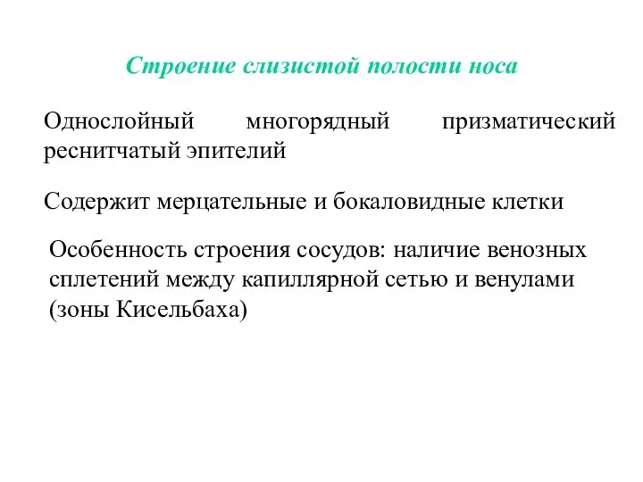 Строение слизистой полости носа Однослойный многорядный призматический реснитчатый эпителий Содержит мерцательные и