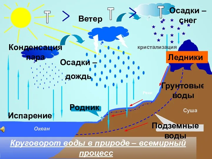 Испарение Конденсация пара Осадки – дождь Осадки – снег Ветер Круговорот воды