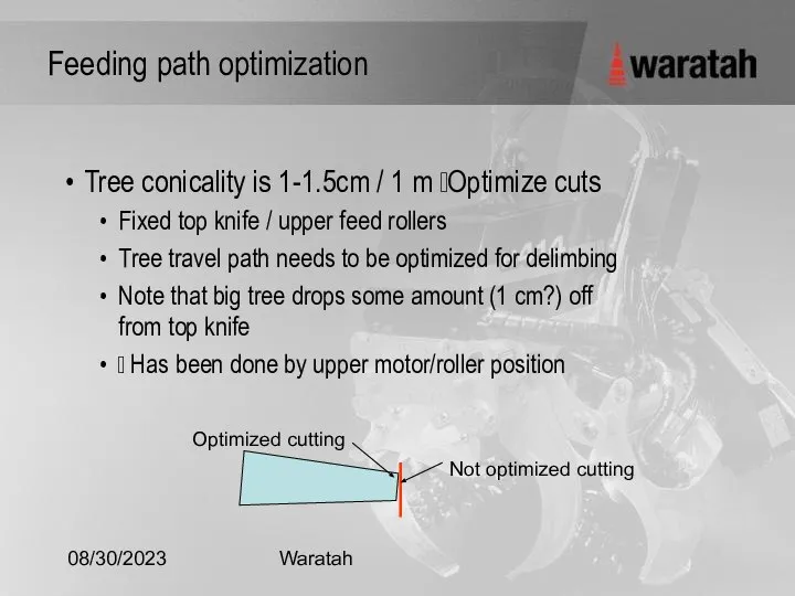 08/30/2023 Waratah Feeding path optimization Tree conicality is 1-1.5cm / 1 m