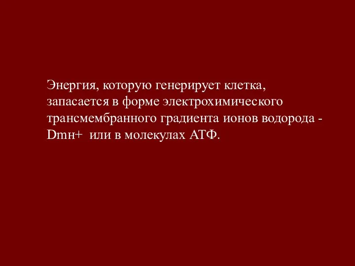 Энергия, которую генерирует клетка, запасается в форме электрохимического трансмембранного градиента ионов водорода