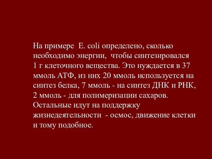 На примере E. coli определено, сколько необходимо энергии, чтобы синтезировался 1 г