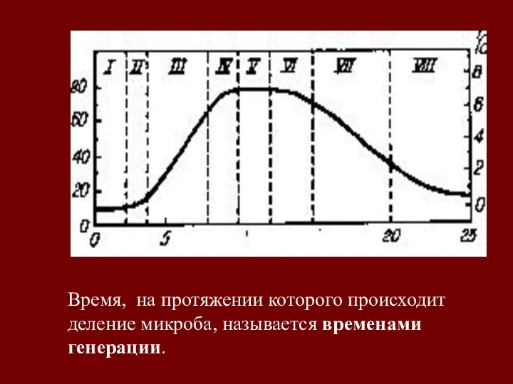 Время, на протяжении которого происходит деление микроба, называется временами генерации.