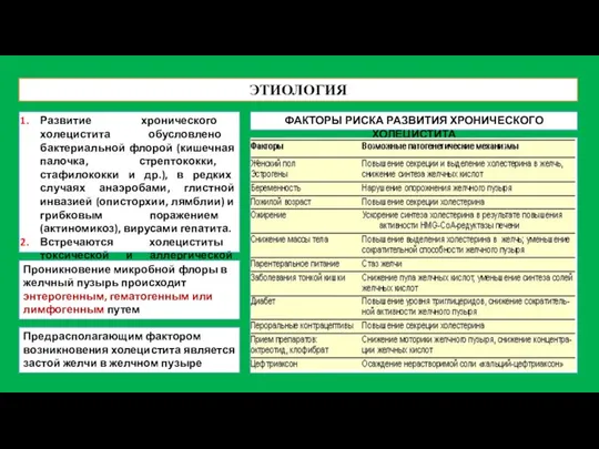 ЭТИОЛОГИЯ Развитие хронического холецистита обусловлено бактериальной флорой (кишечная палочка, стрептококки, стафилококки и