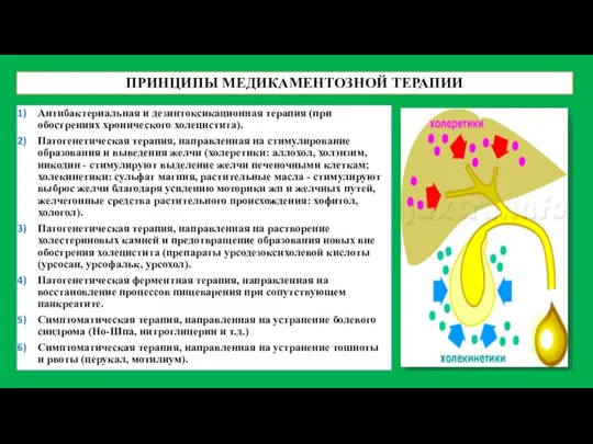 Антибактериальная и дезинтоксикационная терапия (при обострениях хронического холецистита). Патогенетическая терапия, направленная на