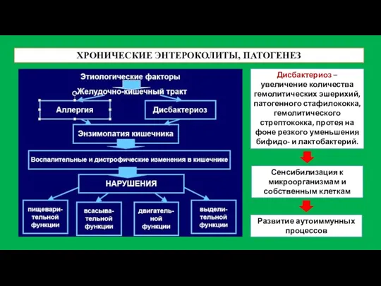 ХРОНИЧЕСКИЕ ЭНТЕРОКОЛИТЫ, ПАТОГЕНЕЗ Дисбактериоз – увеличение количества гемолитических эшерихий, патогенного стафилококка, гемолитического