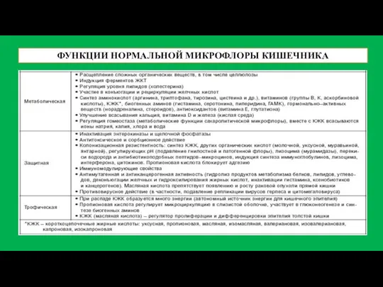 ФУНКЦИИ НОРМАЛЬНОЙ МИКРОФЛОРЫ КИШЕЧНИКА