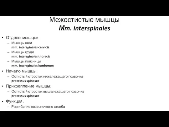 Межостистые мышцы Мm. interspinales Отделы мышцы: Мышцы шеи mm. interspinales cervicis Мышцы
