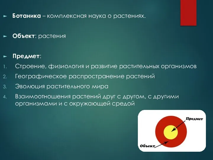 Ботаника – комплексная наука о растениях. Объект: растения Предмет: Строение, физиология и