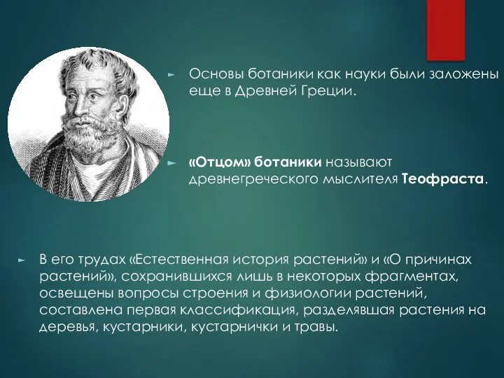 В его трудах «Естественная история растений» и «О причинах растений», сохранившихся лишь