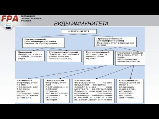 ВИДЫ ИММУНИТЕТА