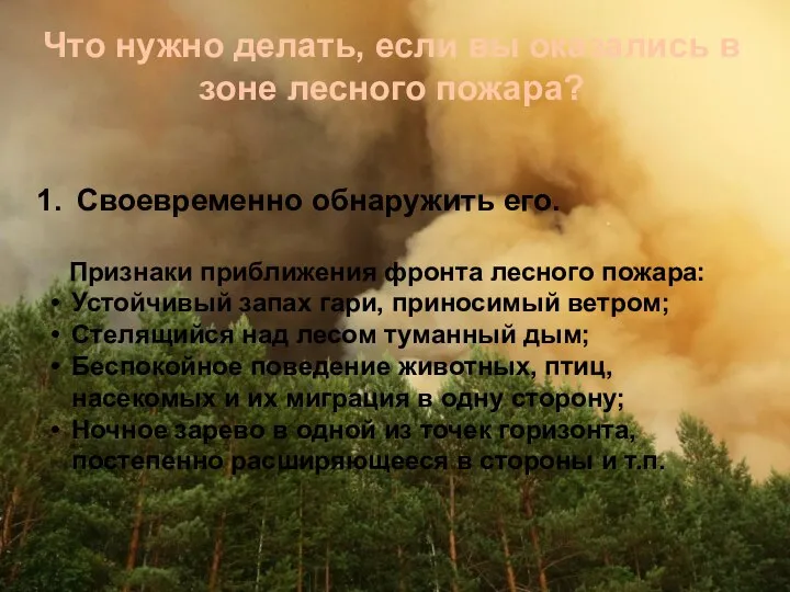 Что нужно делать, если вы оказались в зоне лесного пожара? Своевременно обнаружить