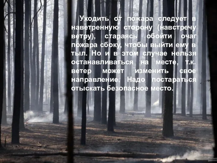 Уходить от пожара следует в наветренную сторону (навстречу ветру), стараясь обойти очаг