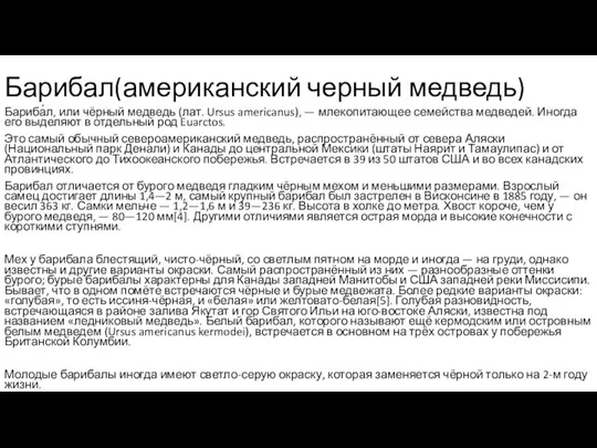 Барибал(американский черный медведь) Бариба́л, или чёрный медведь (лат. Ursus americanus), — млекопитающее