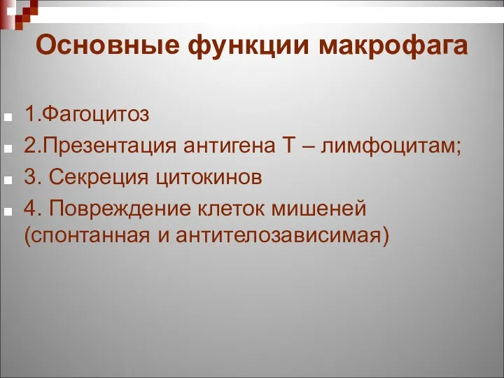 Основные функции макрофага 1.Фагоцитоз 2.Презентация антигена Т – лимфоцитам; 3. Секреция цитокинов