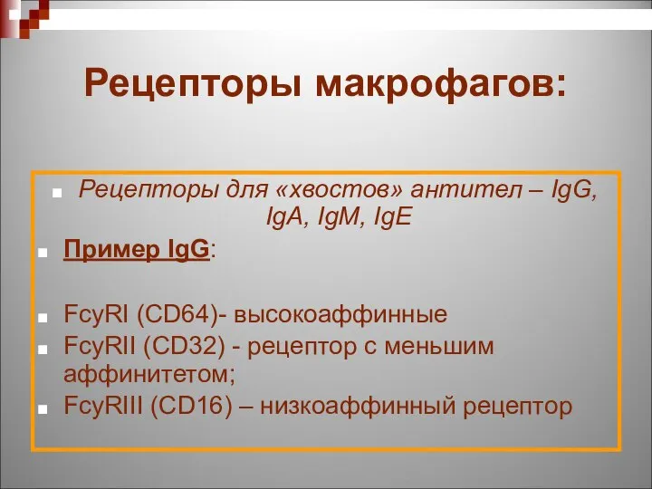 Рецепторы макрофагов: Рецепторы для «хвостов» антител – IgG, IgA, IgM, IgE Пример