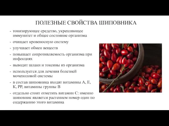 ПОЛЕЗНЫЕ СВОЙСТВА ШИПОВНИКА тонизирующее средство, укрепляющее иммунитет и общее состояние организма очищает