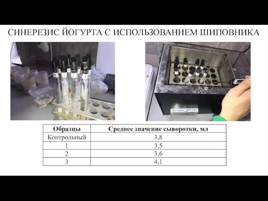 СИНЕРЕЗИС ЙОГУРТА С ИСПОЛЬЗОВАНИЕМ ШИПОВНИКА