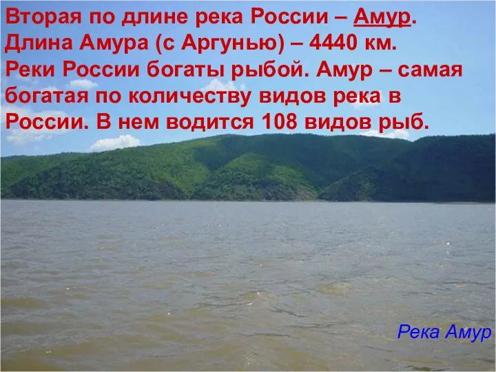Вторая по длине река России – Амур. Длина Амура (с Аргунью) –
