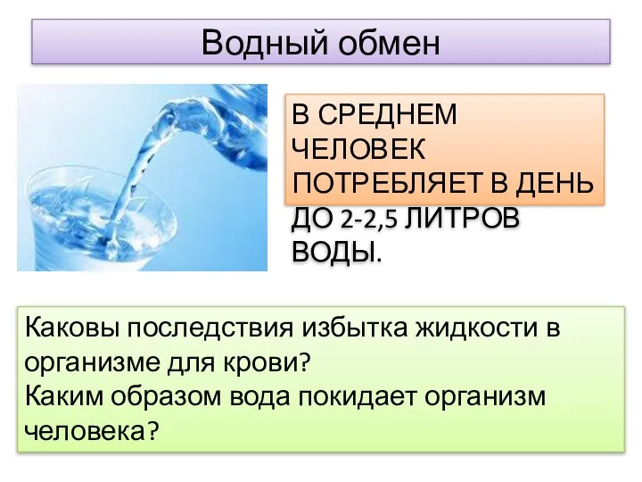 Водный обмен В СРЕДНЕМ ЧЕЛОВЕК ПОТРЕБЛЯЕТ В ДЕНЬ ДО 2-2,5 ЛИТРОВ ВОДЫ.