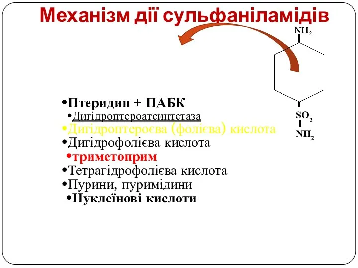 Механізм дії сульфаніламідів Птеридин + ПАБК Дигідроптероатсинтетаза Дигідроптероєва (фолієва) кислота Дигідрофолієва кислота