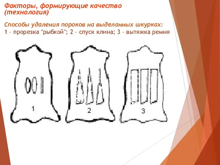 Способы удаления пороков на выделанных шкурках: 1 – прорезка "рыбкой"; 2 –