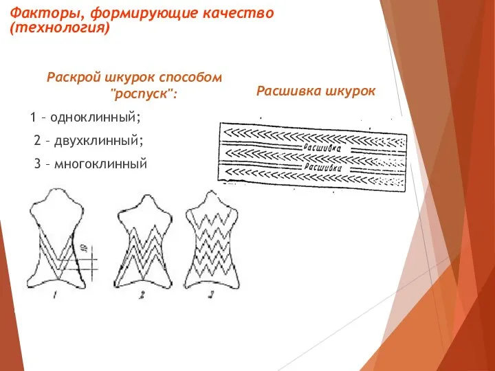 Раскрой шкурок способом "роспуск": 1 – одноклинный; 2 – двухклинный; 3 –