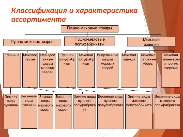 Классификация и характеристика ассортимента