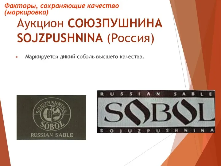 Аукцион СОЮЗПУШНИНА SOJZPUSHNINA (Россия) Маркируется дикий соболь высшего качества. Факторы, сохраняющие качество (маркировка)