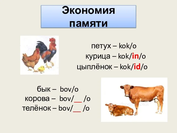 Экономия памяти петух – kok/o курица – kok/in/o цыплёнок – kok/id/o бык