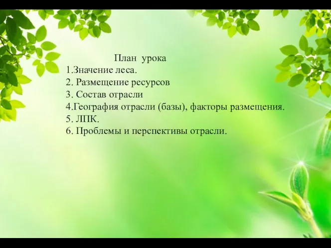 План урока 1.Значение леса. 2. Размещение ресурсов 3. Состав отрасли 4.География отрасли