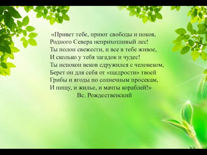 «Привет тебе, приют свободы и покоя, Родного Севера неприхотливый лес! Ты полон