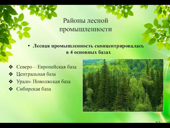 Районы лесной промышленности Лесная промышленность сконцентрировалась в 4 основных базах Северо –